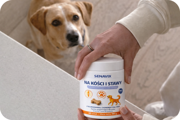 Pies i opakowanie produktu SENAVIX